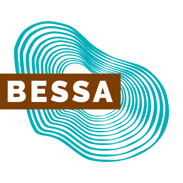 Custom Website Design and Development That Powers Your Business | Bessa Community Apps | React Native App Developer